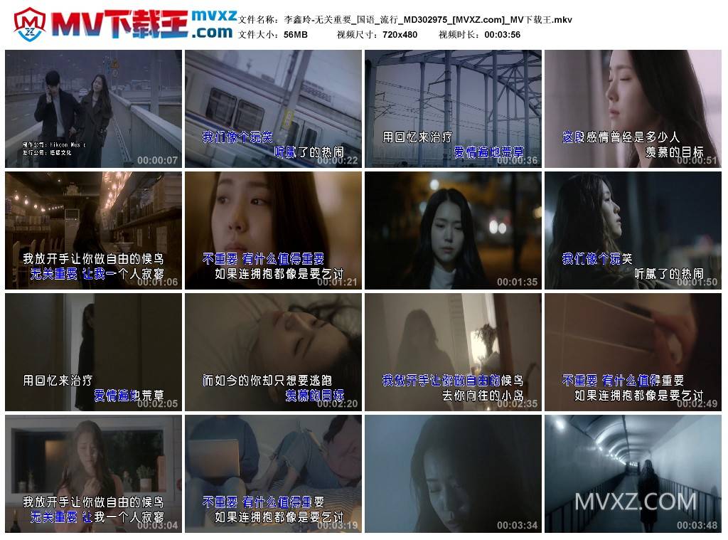 李鑫玲-无关重要_国语_流行_MD302975